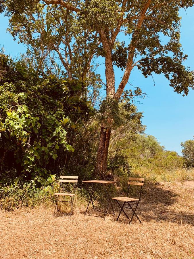 Hotel Private Eco Glamping In Aljezur Alfambras Exterior foto